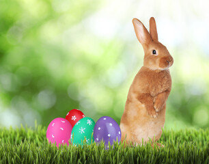 Cute bunny and colorful Easter eggs on green grass outdoors