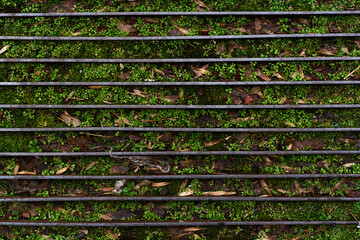 Green weeds growing through metal frame footpath summer autumn spring concept nature with copy space for text
