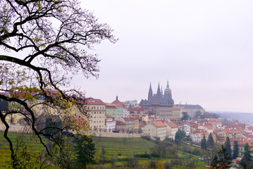 Prague Castle from the heights of the city on an overcast day