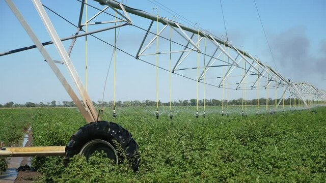 Large crop spraying machine moving, spraying potato field with water in slo-mo  