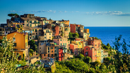Fototapeta na wymiar Village of Corniglia in Cinque Terre