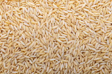 Barley noodle grains. Background and texture.
