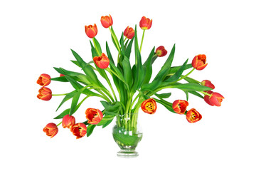 Tulpen, rot-gelb, Tulpenstrauß - 411928743