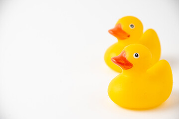 View of two yellow ducklings for bathing, selective focus, on white background, horizontal, with copy space