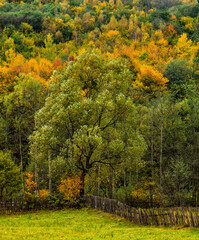 Naklejka premium Autumn Landscape