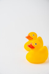 Top view of two yellow ducklings for bathing, selective focus, on white background, vertical, with copy space