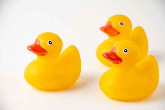 Close-up of three yellow ducklings for bathing, selective focus, on white background, horizontal, with copy space