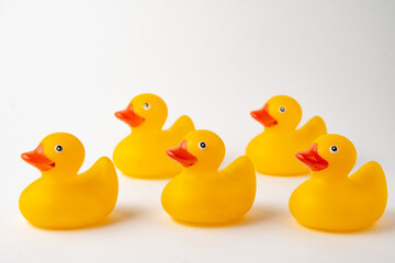 View of a group of five yellow ducklings for bathing, selective focus, on white background, horizontal, with copy space