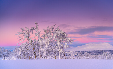Purple winter lanscape in Norway