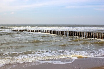 Wave breaker made of wooden stakes on the beach, Renesse, Netherlands