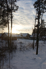 Snowy winter in the forest.