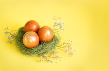 three easter eggs in a nest on a yellow background