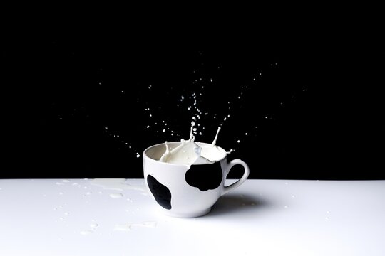 Leche salpicando en un taz&oacute;n de con motivos de vaca