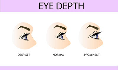 Eye depth, information for eyelash extension, infographics, vector illustration