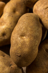 Raw Borwn Organic Russet Potatoes