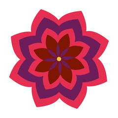 Bright red-purple flower on a white background