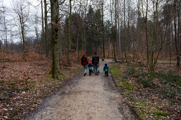Fototapeta premium Familienspaziergang im herbstlichen Wald