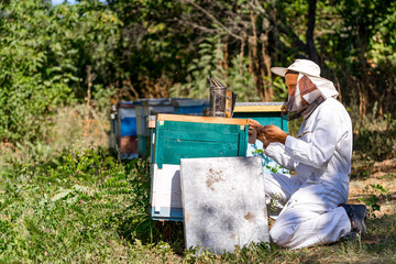 Beekeeper stands on one knee and fixes wooden hive with special instruments. Summer garden background.