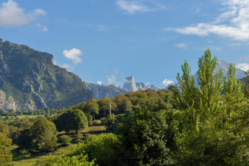 Fototapeta na wymiar The Naranjo de Bulnes, known as Picu Urriellu, is a limestone peak dating from the paleozoic era, located in the Macizo Central region of the Picos de Europa, Asturias, Spain.