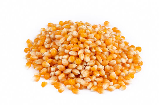 Dried corn on the white background