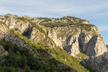 Fototapeta na wymiar The River Duje valley near Sotres, Picos de Europa, Asturias, Spain.