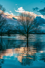 Flood on the Rhine near Cologne, Germany.