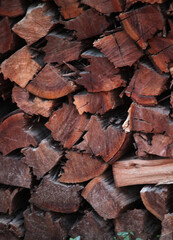 Eucalyptus firewood logs in a firewood stack