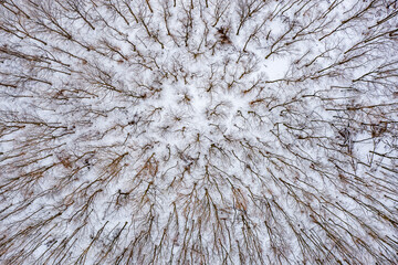 Hungary, snowy texture for the forest from topdown drone view
