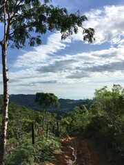 Fototapeta na wymiar trail in the valley / Brazil, Santa Catarina
