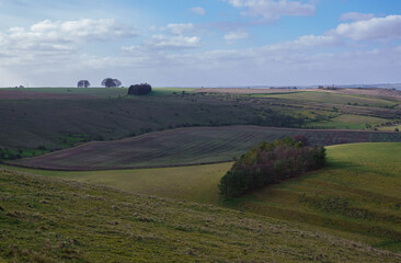 Fototapeta na wymiar view of the Southern edge of Pewsey Vale near Pewsey with a woodland copse in the valley