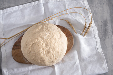 Fresh homemade wheat dough ready for baking bread or pizza on the board, ears of wheat near on the table. Top view.
