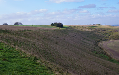 view of the Southern edge of Pewsey Vale near Pewsey 