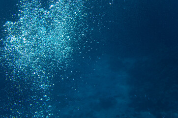 Air bubbles rise from the seabed