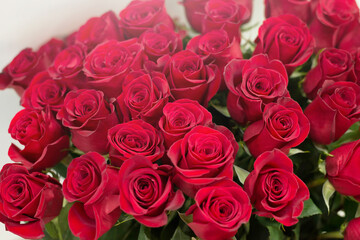 Fototapeta na wymiar Bouquet Of Red Roses Isolated on a Gray Background. Valentine's Day. Gift for the Woman You Love.