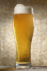 Beer.Pint of Beer close up isolated on abstract background. Cold Craft light Beer in a glass