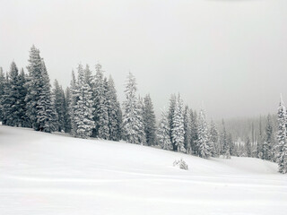 Winter landscape in Steamboat Springs Colorado
