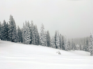 Fototapeta na wymiar Winter landscape in Steamboat Springs Colorado