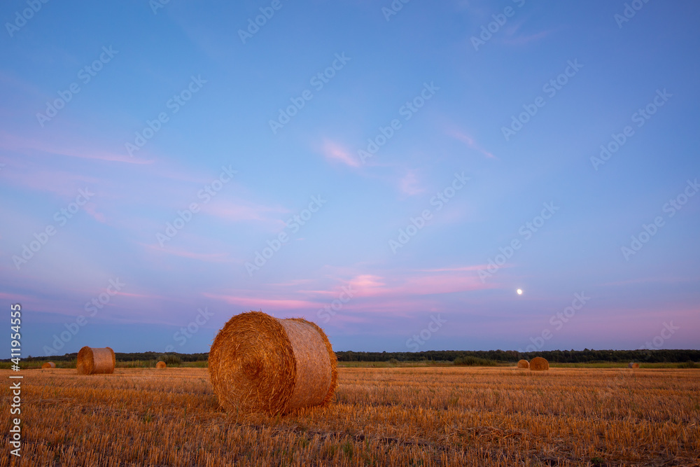 Canvas Prints Evening picture during the blue hour of straw bales with rising moon on the background. Calm rural landscape