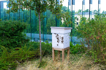 Beehive on roof of the building - 411955309