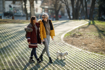 Friends On A Walk