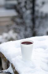 Winter landscape of Poland in snow 