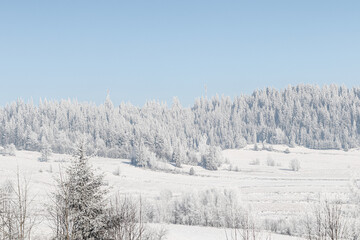 Winter landscape of Poland in snow 