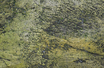 Texture of old gray concrete wall for background