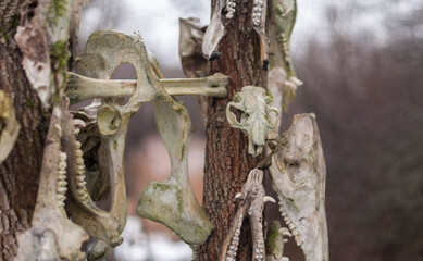 Bone totem in the middle of the forest