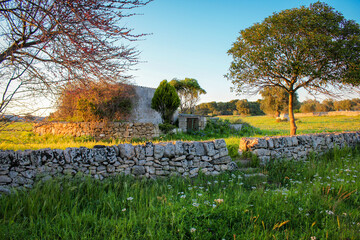 Abandoned country houise, Southern Italy, Apulia.