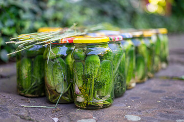 Hand made pickled organic cucumbers in jars standing on the rock. 