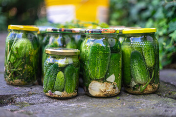 Hand made pickled organic cucumbers in jars standing on the rock. 