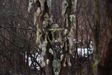 Bone totem in the middle of the forest