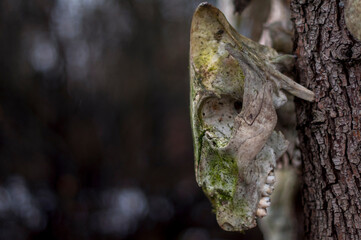 Bone totem in the middle of the forest