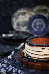 Delicious homemade sour cream vanilla cake decorated with chocolate and fresh blueberry